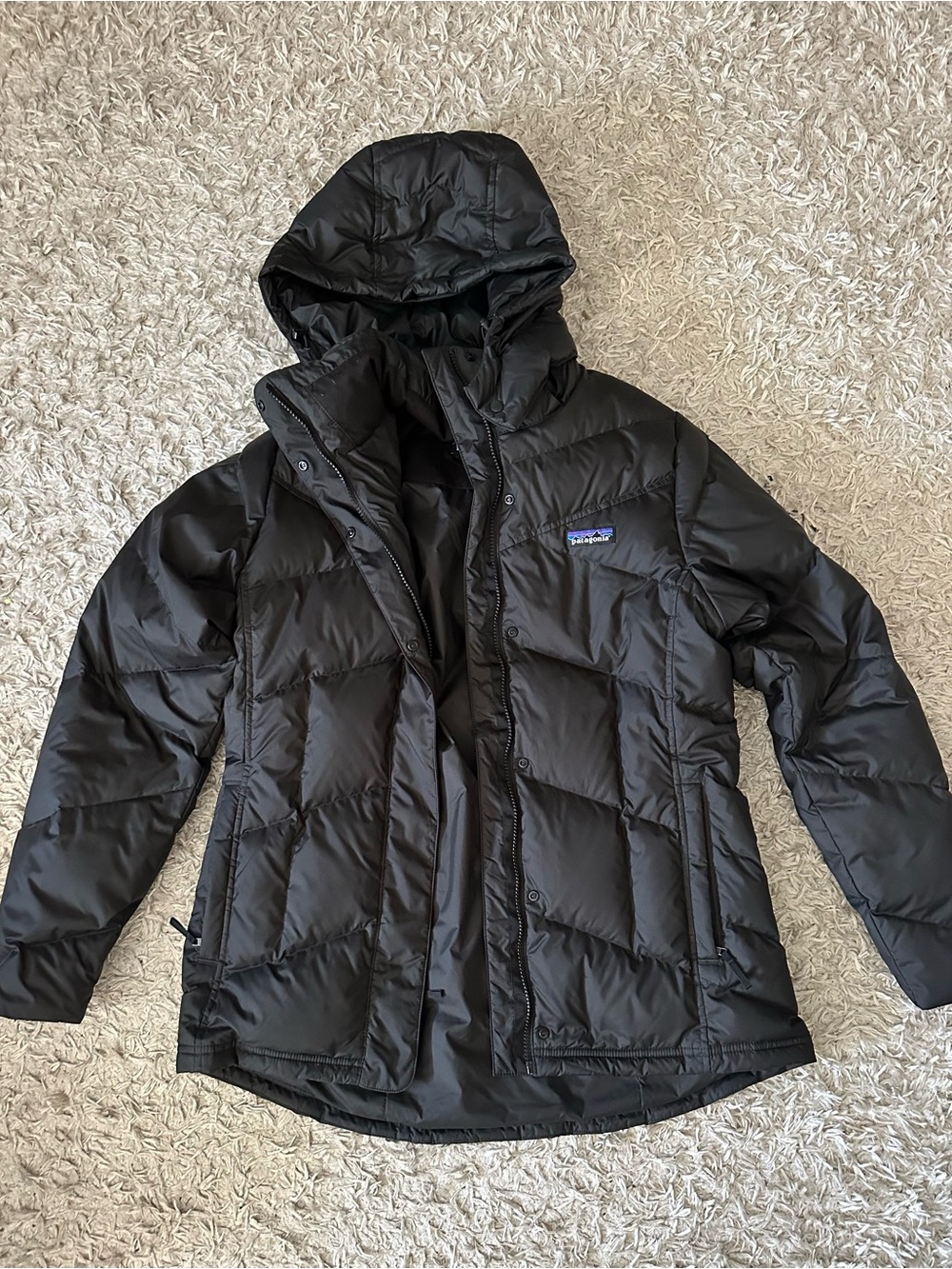 Patagonia W’s Down With It Jacket
